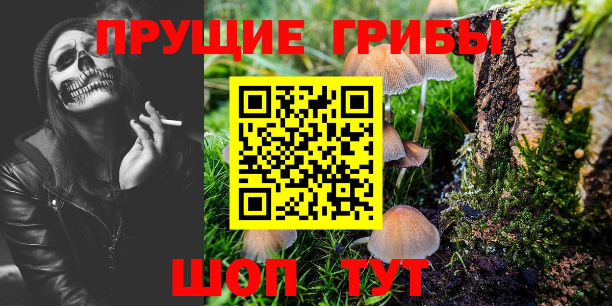 Псилоцибиновые грибы Psilocybe Александров