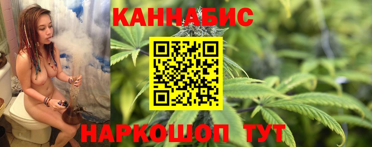Каннабис индика  Вход с VPN  Конопля OG Kush  Марихуана ГИДРОПОН  Александров  Канабис тримм 